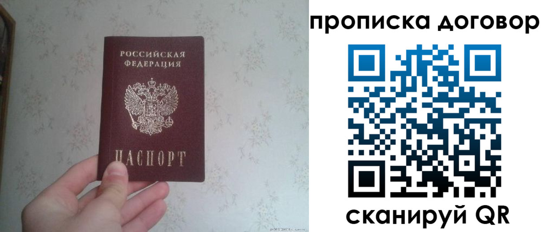 прописка паспорт в Кингисеппе