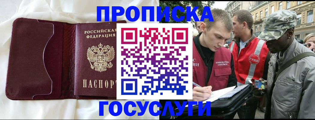 прописка законно в Кингисеппе